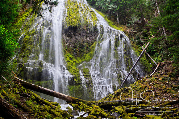 Lower Proxy Falls