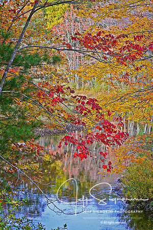 Maine Autumn Pond