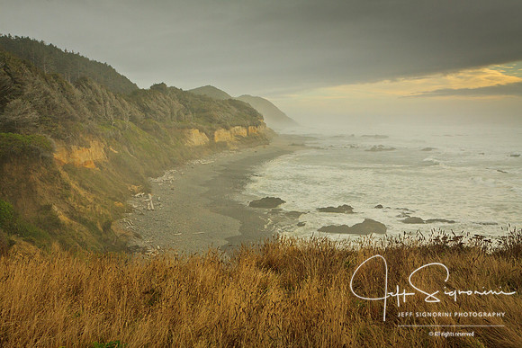 Oregon Coast
