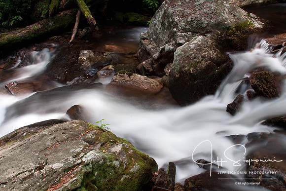 Smith Creek Detail, Georgia