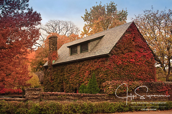 Vine Covered Cottage