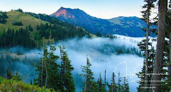 Near Hurricane Ridge, Olympic National Park