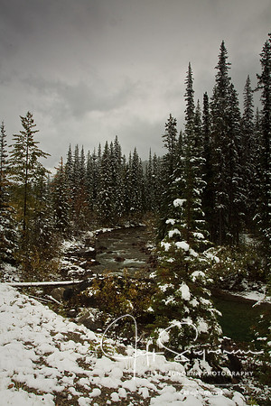 Jasper National Park