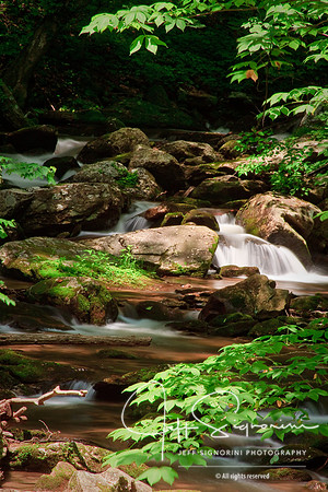 Smith Creek, Georgia