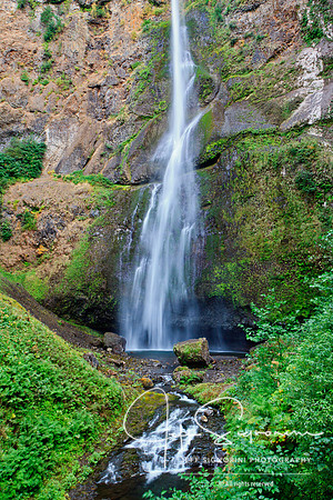 Oregon