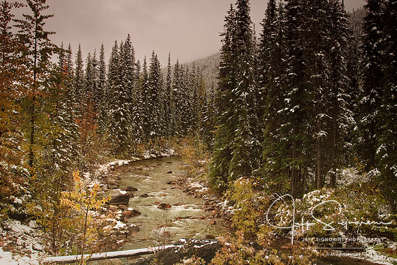 Jasper National Park
