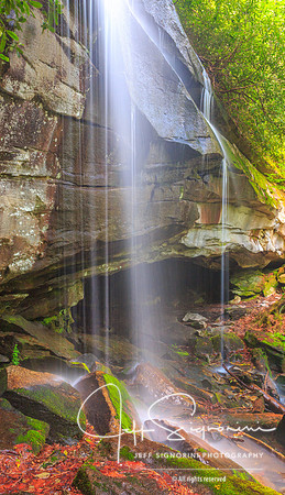DuPont State Forest - North Carolina