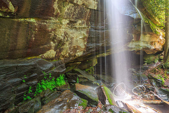 DuPont State Forest - North Carolina