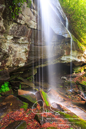 DuPont State Forest - North Carolina