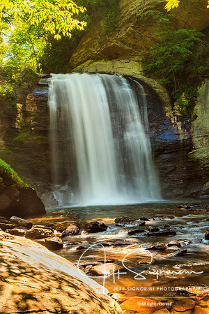 DuPont State Forest - North Carolina