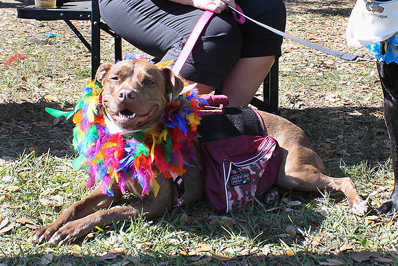 Mutt March 2011 289