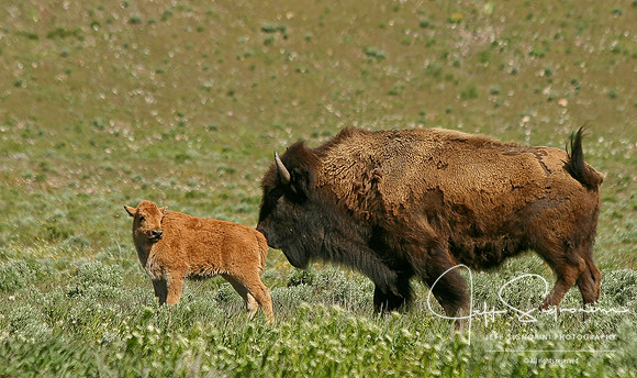 Mother & Child 3