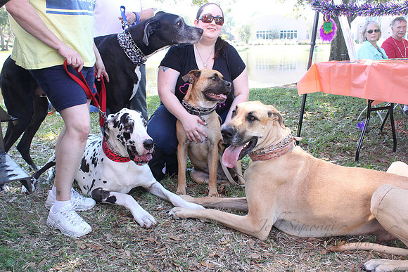 Mutt March 2011 178