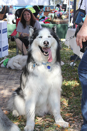 Mutt March 2011 134