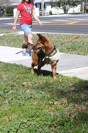 Mutt March 2011 196