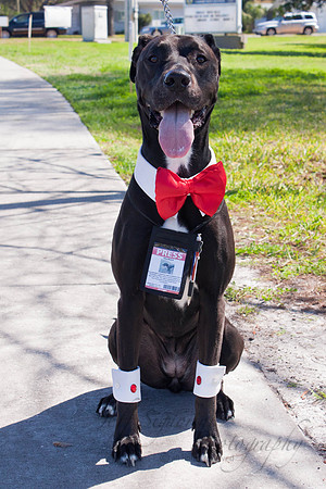 Mutt March 2011 486