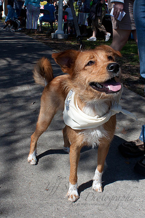 Mutt March 2011 064