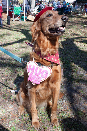Mutt March 2011 022
