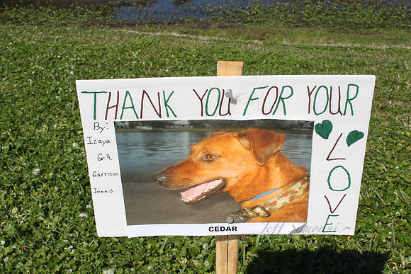 Mutt March 2011 227