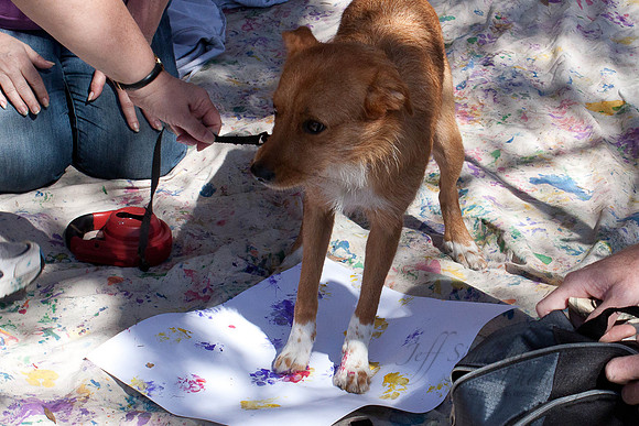 Mutt March 2011 080
