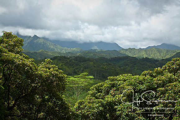 Kauai Hike