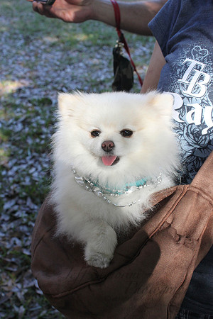 Mutt March 2011 526