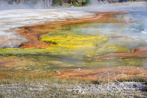 Yellowstone National Park