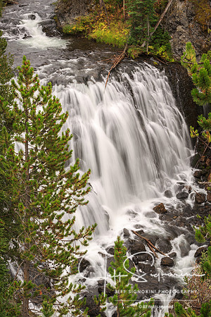 Yellowstone National Park