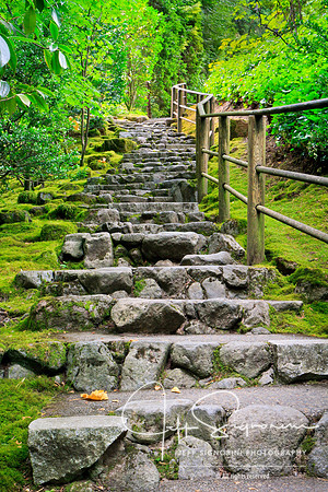 Japanese Garden, Portland, Oregon