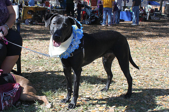 Mutt March 2011 286