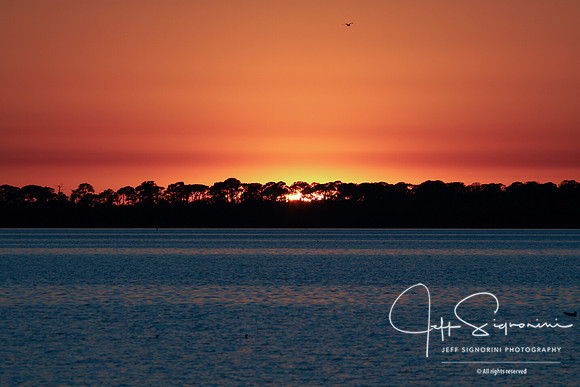 Dunedin, Florida