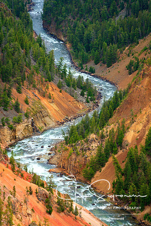 Yellowstone NP