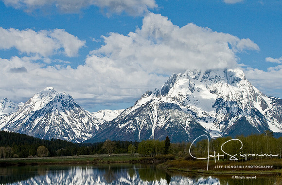 Pelican Point, Grand Teton National Park