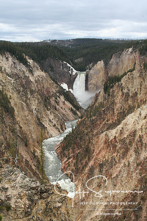 Yellowstone NP