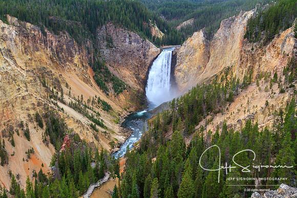 Yellowstone River Lower Falls, Yellowstone National Park. Montana