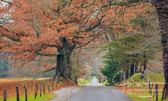 Cade's Cove,  Great Smoky Mountains National Park