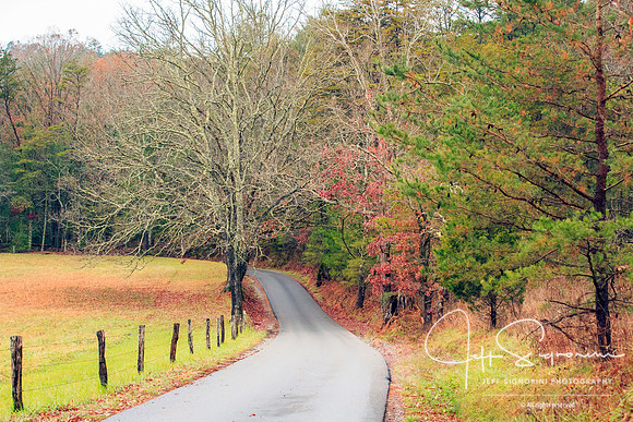 Cade's Cove,  Great Smoky Mountains National Park.