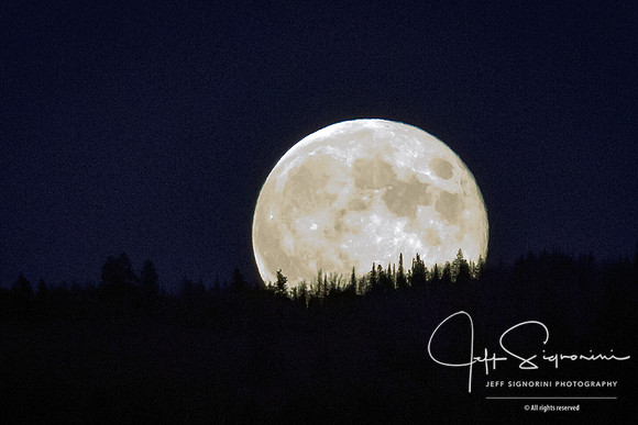 Moonrise - Grand Teton National Park. Jackson, WY